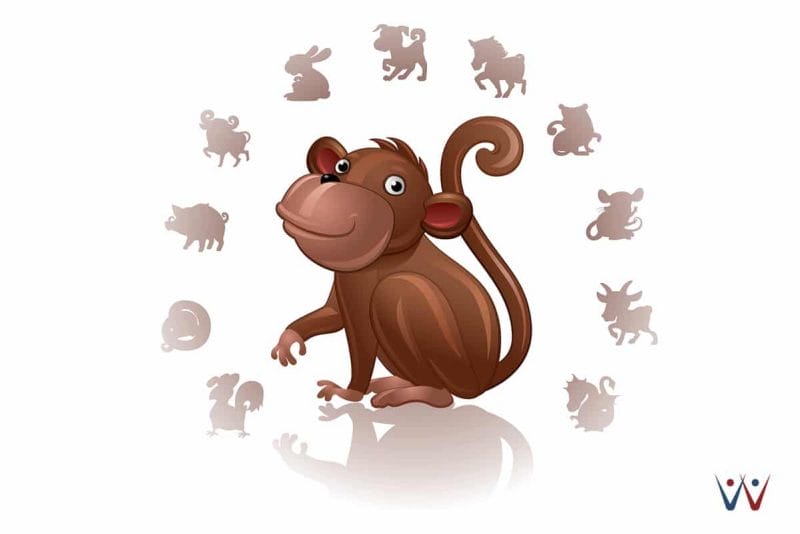 peruntungan shio 2018 (5) - monyet